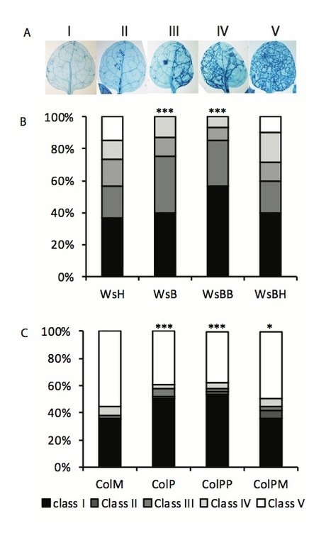 Plant Physiology: Descendants of primed Arabidopsis plants exhibit resistance to biotic stress | Plants and Microbes | Scoop.it