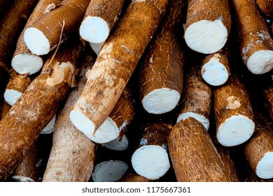 TANZANIE : de gros investissements pour créer un débouché non alimentaire au manioc | Revue de presse - Club DEMETER | Scoop.it
