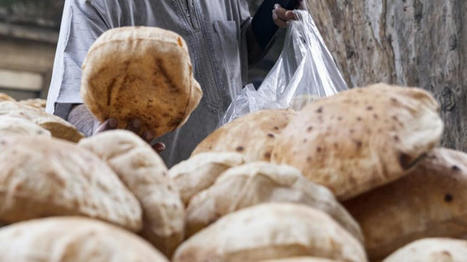 MEDITERRANEE : La guerre en Ukraine accentue l’insecurité alimentaire : IEMed | CIHEAM Press Review | Scoop.it