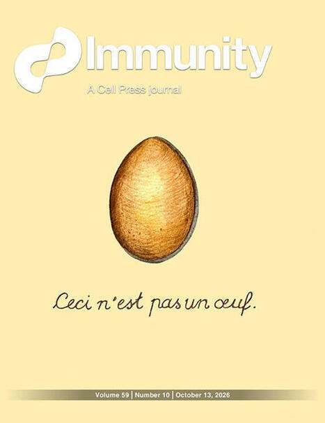 New issue online! Cover depicts work from Daria Esterh&aacute;zy, Yixuan D. Zhou & colleagues, who show that gut T cell responses to the same protein&mdash;chicken egg white ovalbumin (OVA)&mdash;differ depending on&hellip;... | Mucosal Immunity | Scoop.it