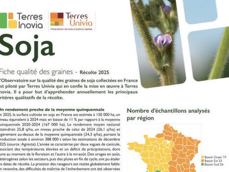 Soja&nbsp;: focus sur qualit&eacute; des graines 2025&nbsp; | ITERG - Veille sectorielle | Scoop.it