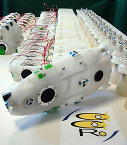 CoCoRo: 3D Printed Robots to Safeguard Oceans | Libre de faire, Faire Libre | Scoop.it