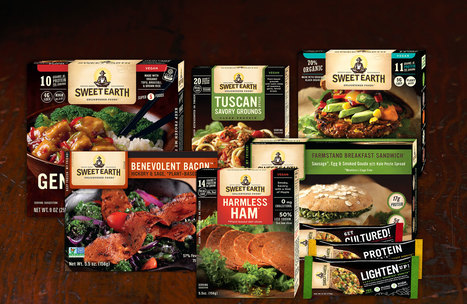 Sweet Earth CEO: Changing consumers behind plant-based boom | Tampa Florida Business Strategy | Scoop.it