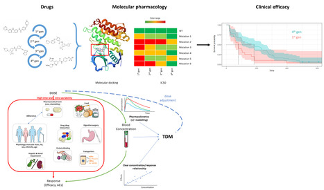 Inhibiteurs de tyrosine kinases (TKI) et cancer : optimiser ces traitements par la chimie et la pharmacologie clinique | Life Sciences Université Paris-Saclay | Scoop.it