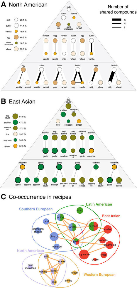 Les secrets de la cuisine mondiale [dataviz] | Journalisme graphique | Scoop.it
