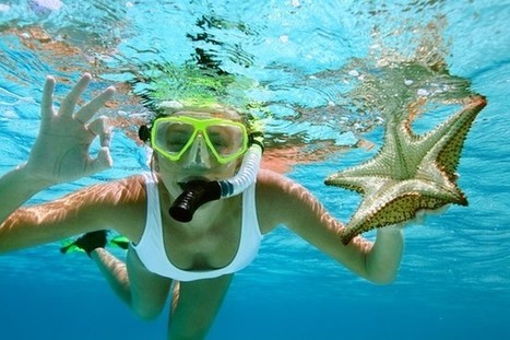 Seychelles makes maiden appearance at Japan tourism fair ... | Japanese Travellers | Scoop.it