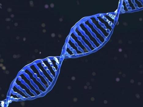 Scientists make 'holy grail' breakthrough in DNA editing that could cure incurable diseases | 21st Century Innovative Technologies and Developments as also discoveries, curiosity ( insolite)... | Scoop.it