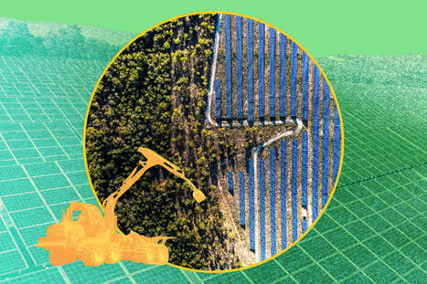 Panneaux solaires au sol&nbsp;: nos chiffres in&eacute;dits sur les for&ecirc;ts et terres agricoles sacrifi&eacute;es | Environnement - &Eacute;nergie | Scoop.it