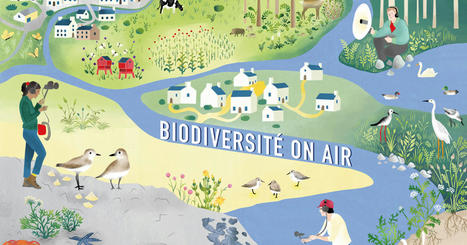 Biodiversité on Air | Biodiversité | Scoop.it