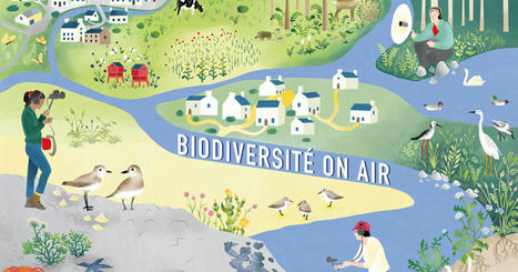 Biodiversit&eacute; on Air | Biodiversit&eacute; | Scoop.it