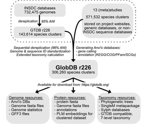 GlobDB: a comprehensive species-dereplicated microbial genome resource | bft | RMH | Scoop.it