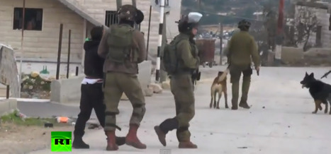 Israël : des images de soldats lâchant un chien sur un ado palestinien suscitent un tollé (VIDÉO) | Koter Info - La Gazette de LLN-WSL-UCL | Scoop.it
