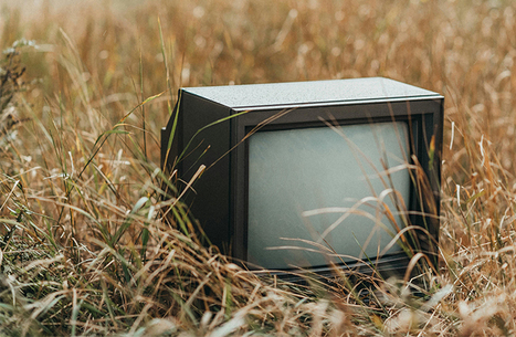 L’émergence de la biodiversité à la télévision française de 1992 à 2009 - FRB | Biodiversité | Scoop.it