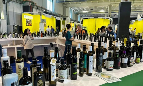 Plan pour l'huile d'olive&nbsp;: 10 millions d'euros pour promouvoir l'huile d'olive italienne, voici comment | ITERG - Veille sectorielle | Scoop.it