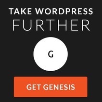 Another WordPress Theme Giveaway (Up to $100 Value) | Blogging Contests | Scoop.it