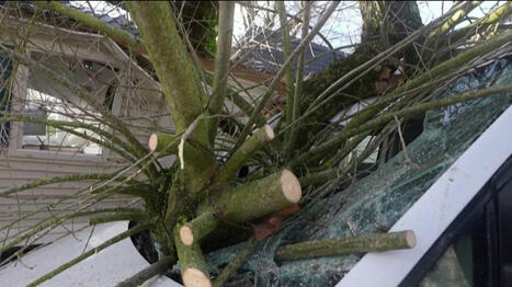 Temp&ecirc;te Goretti : la Manche frapp&eacute;e de plein fouet | Plan&egrave;te DDurable | Scoop.it