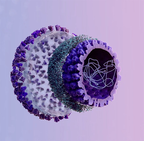 Des résultats cliniques initiaux majeurs pour EG 427 | Life Sciences Université Paris-Saclay | Scoop.it