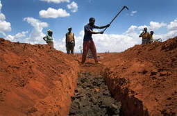 FAO - News Article: World’s future food security “in jeopardy” due to multiple challenges, report warns | Life Sciences Université Paris-Saclay | Scoop.it