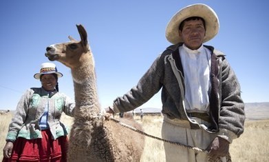 Peru's farmers fight climate change using modern and Inca techniques | Questions de développement ... | Scoop.it