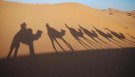 Transnational Organized Crime in West Africa | Fair Observer° | ReactNow - Latest News updated around the clock | Scoop.it