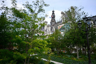 « C’est très beau le parvis de l’Hôtel-de-Ville, mais c’est du kit végétal » : les défis du développement des « forêts urbaines » | Une semaine d'actu - Newsletter de veille de l'AURH | Scoop.it