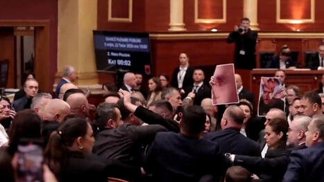 Streit um Studentenproteste: Chaos in Albanien: Politiker pr&uuml;geln sich im Parlament | Kompass-Aktuell | Scoop.it