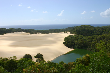 Fraser Island, Australia | Life is a beach | Scoop.it