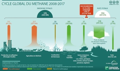 Méthane, l’ennemi oublié de la lutte contre le changement climatique | Vers la transition des territoires ! | Scoop.it