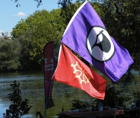 Le Parti Pirate f&ecirc;te ses deux ans dans l&rsquo;attente des &eacute;lections municipales et europ&eacute;ennes | Toulouse La Ville Rose | Scoop.it