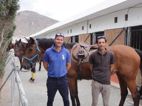 &ldquo;La equitaci&oacute;n ayuda a perfilar la personalidad de los ni&ntilde;os&rdquo; - La Voz de Almer&iacute;a | Caballo, Caballos | Scoop.it