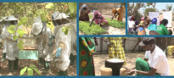 Small-scale, big impact | FAO  | Agroecologie et Systèmes Alimentaires Durables | Scoop.it
