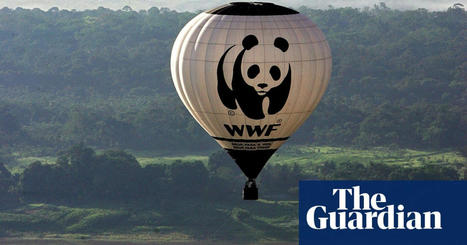 Climate groups accept millions from charity linked to fossil fuel investments | Fossil fuels | The Guardian | Agents of Behemoth | Scoop.it