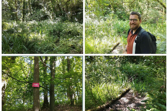 Wild Bretagne, l'association qui veut faire pousser des forêts sauvages