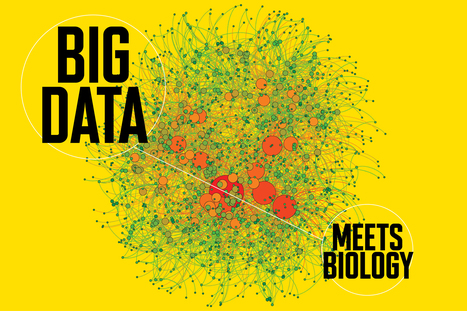 How AI and Data Analytics Are Transforming Healthcare Right Now   | Italian Social Marketing Association -   Newsletter 226 | Scoop.it