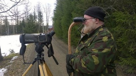 Lintumaailmassa lempi leiskuu jo – pesäpuuhat ja reviirikiistat käynnissä | Yle Uutiset | yle.fi | 1Uutiset - Lukemisen tähden | Scoop.it