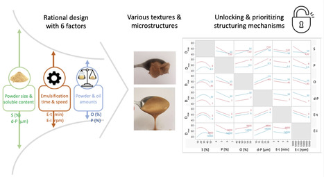 M&eacute;canismes de stabilisation d'&eacute;mulsions par un co-produit non fractionn&eacute; : approche quantitative par plan d&rsquo;exp&eacute;riences | Life Sciences Universit&eacute; Paris-Saclay | Scoop.it