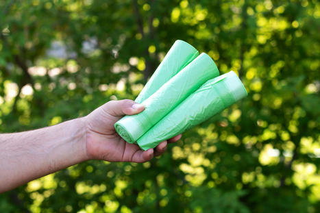 Bolsas de basura biodegradables: la solución ECO para desechar alimentos cuidando el medio ambiente | Blogs | Scoop.it