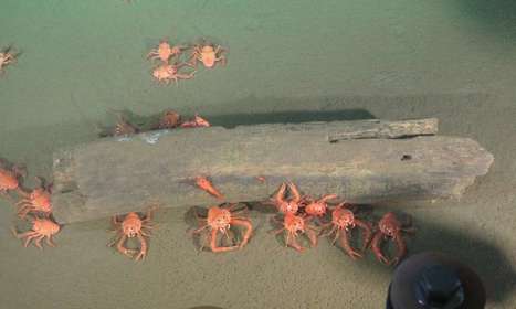 The deep ocean is warming slowly—but dramatic changes are ahead | HALIEUTIQUE MER ET LITTORAL | Scoop.it