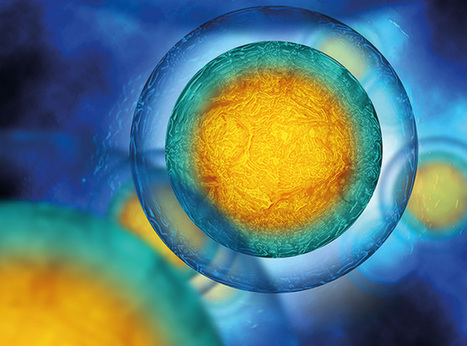 Barcoding small extracellular vesicles with new CRISPR-based system | Genetic Engineering in the Press by GEG | Scoop.it
