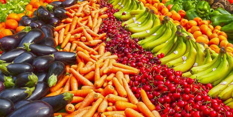 MAROC : Prix des fruits & l&eacute;gumes : une baisse &ldquo;temporaire&rdquo; &agrave; suivre de pr&egrave;s | CIHEAM Press Review | Scoop.it