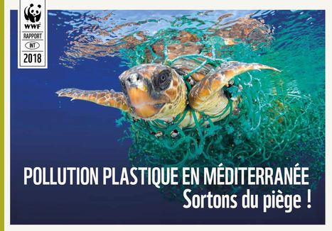 Mer Méditerranée en danger : Libérons la mer Méditerranée de la pollution plastique ! [ Rapport ] - WWF | Gestion Durable des Ressources | Scoop.it