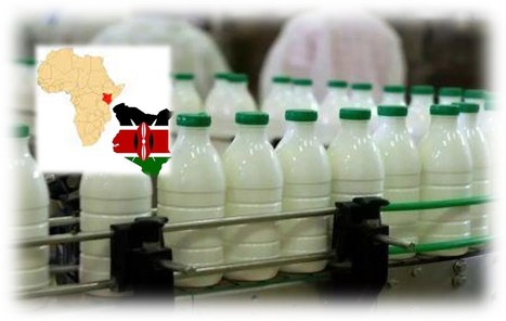 Le Kenya est le premier producteur de lait en Afrique et compte bien le rester  | Lait de Normandie... et d'ailleurs | Scoop.it
