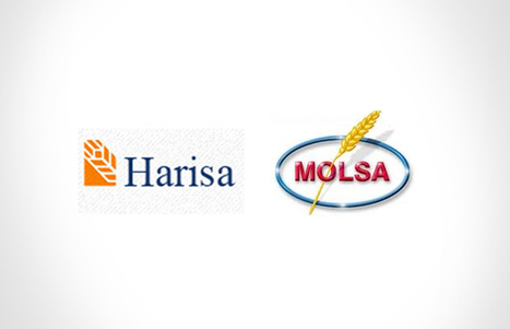Documentos evidencian que MOLSA y HARISA se repartieron mercado ilegalmente | Transparencia Activa | SC News® | Scoop.it