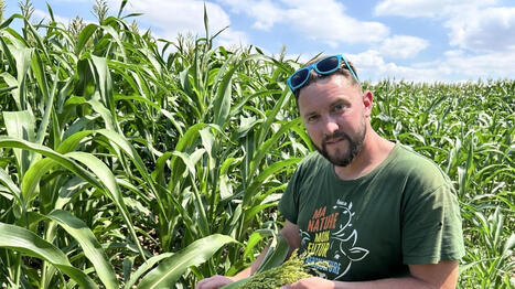 &laquo;&nbsp;Le souci, &ccedil;a va &ecirc;tre le ma&iuml;s&nbsp;&raquo;&nbsp;: face &agrave; la s&eacute;cheresse, l&rsquo;inqui&eacute;tude fourrag&egrave;re a gagn&eacute; les &eacute;levages de Maine-et-Loire - Ouest France [Abonn&eacute;s] | Agriculture en Pays de la Loire | Scoop.it