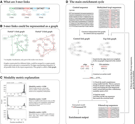 Snappy: fast identification of DNA methylation motifs based on oxford nanopore reads | bft | RMH | Scoop.it