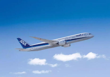 ANA a boucl&eacute; une ann&eacute;e record | AERONAUTIQUE NEWS - AEROSPACE POINTOFVIEW - AVIONS - AIRCRAFT | Scoop.it