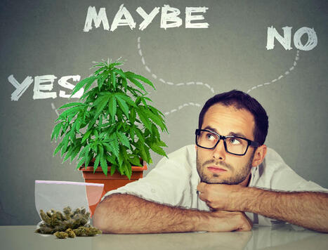 America is Rethinking Marijuana Legalization - A Response to the National Review | Cannabis.Net | Scoop.it