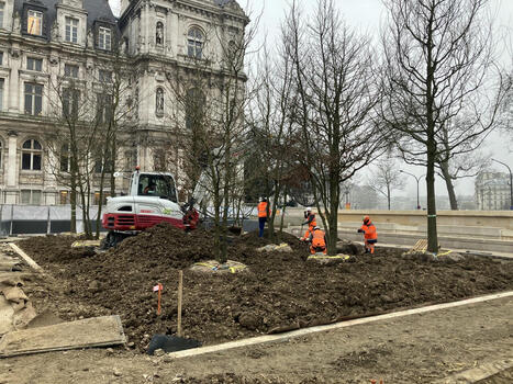 "Paris va devenir belle et agréable" : sur le parvis de l'hôtel de ville, la future forêt urbaine prend vie | Regards croisés sur la transition écologique | Scoop.it