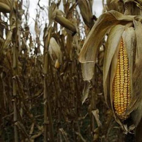 Le réchauffement climatique affecte déjà les Etats-Unis | Toxique, soyons vigilant ! | Scoop.it