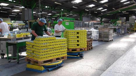 50 personnes évacuées après un feu dans un atelier de l'#usine #Bonduelle de #Renescure | Risques industriels | Scoop.it